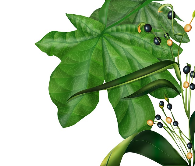 Bylinky a ich spracovanie v podaní knihy „Herbár, alebo od alchemilky pod žindavu“